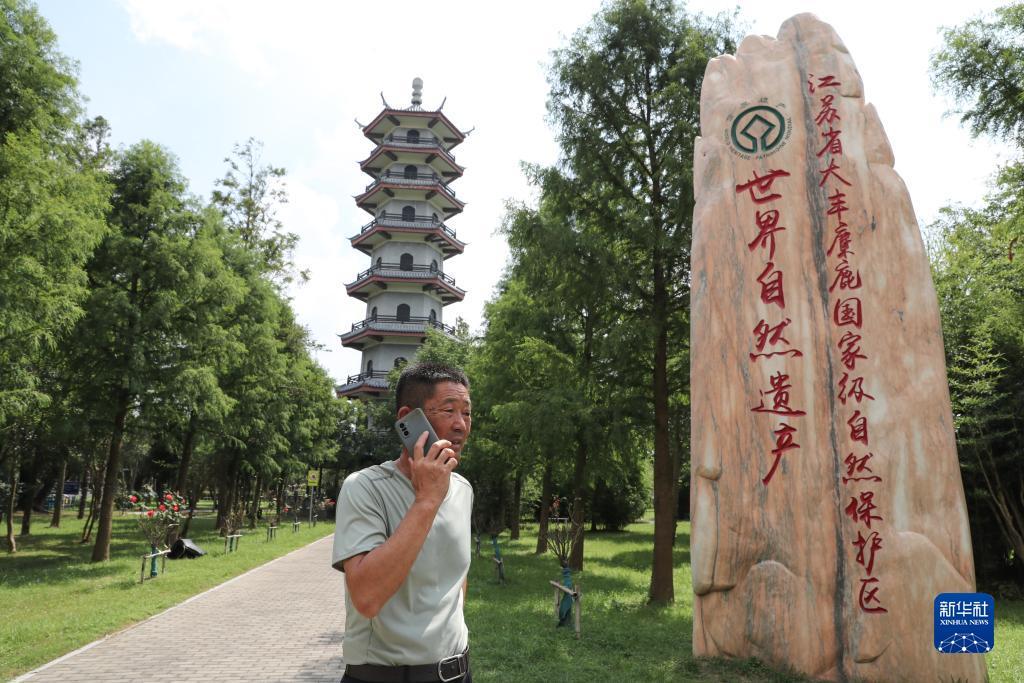 88平台登录界面