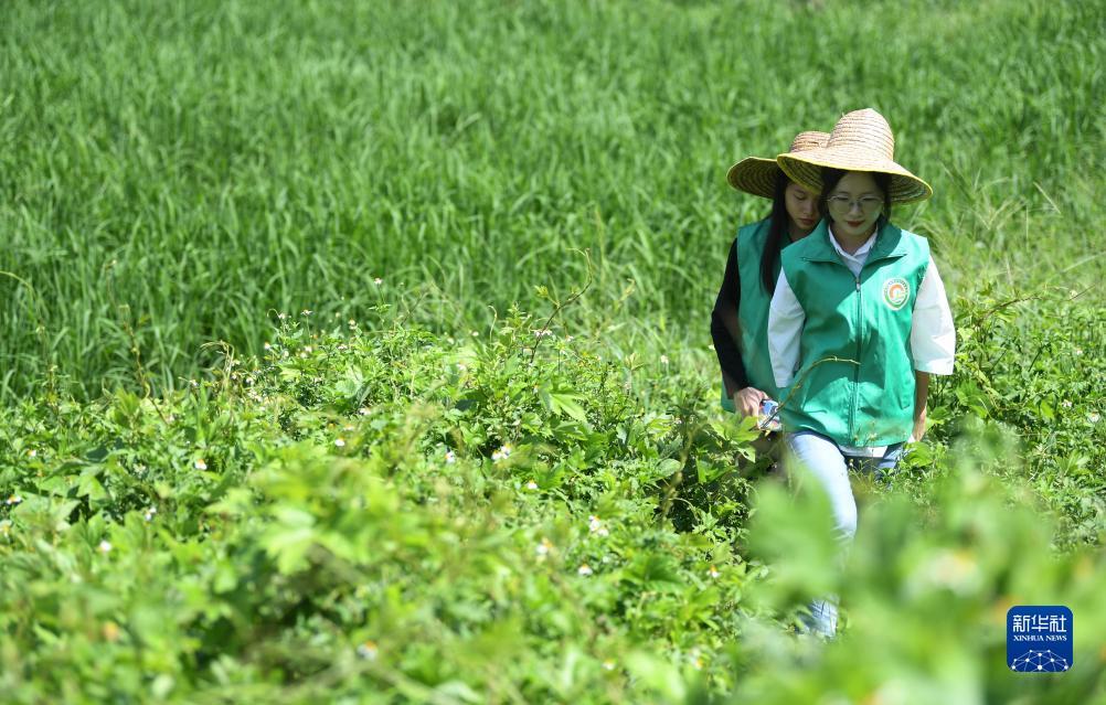 2025白菜体验金无需申请