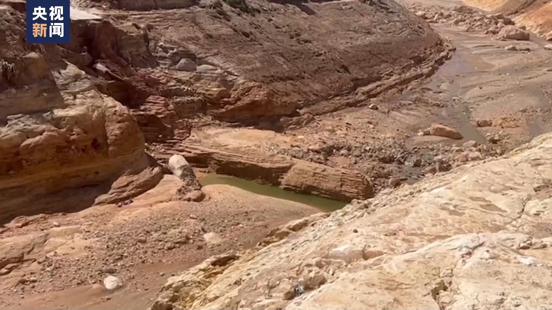 海洋之神登录网址